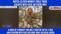 Watch: Clever monkey fools tiger, escapes with ease; netizens ROFL