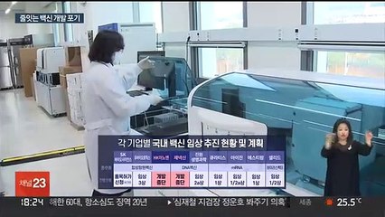 줄잇는 백신 개발 포기…첫 국산 백신은 내달 승인