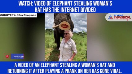 Video of elephant stealing woman's hat has the internet divided
