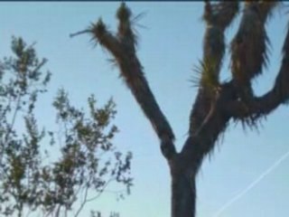 Bagdad Café & Pioneertown (Mars 2008)