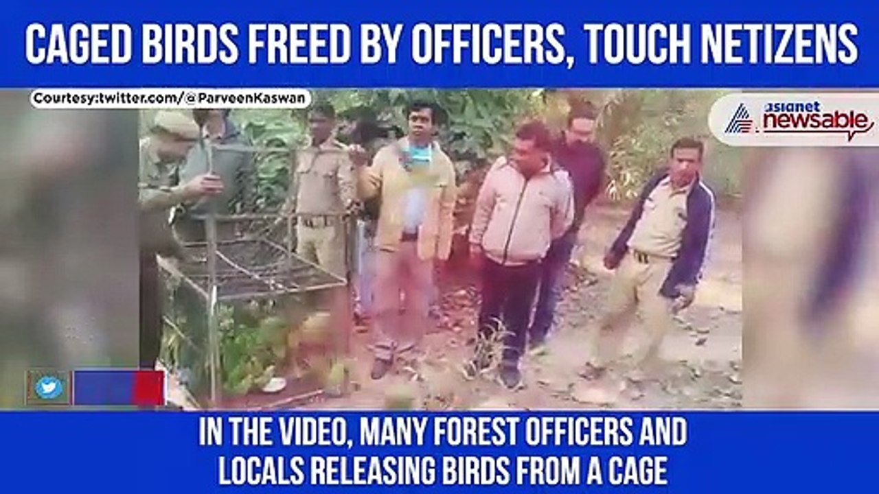 Caged Birds
