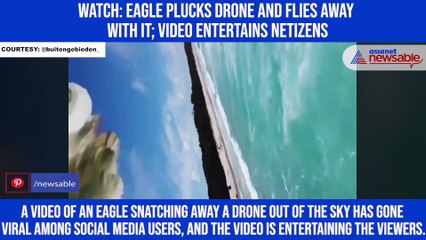 Watch: Eagle plucks drone and flies away with it; video entertains netizens