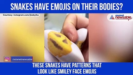 Snake Emoji