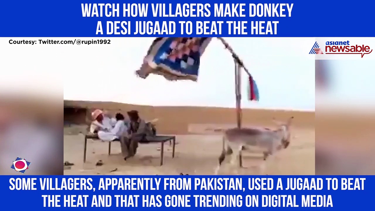 Here's how a donkey beat the heat; Netizens left amused