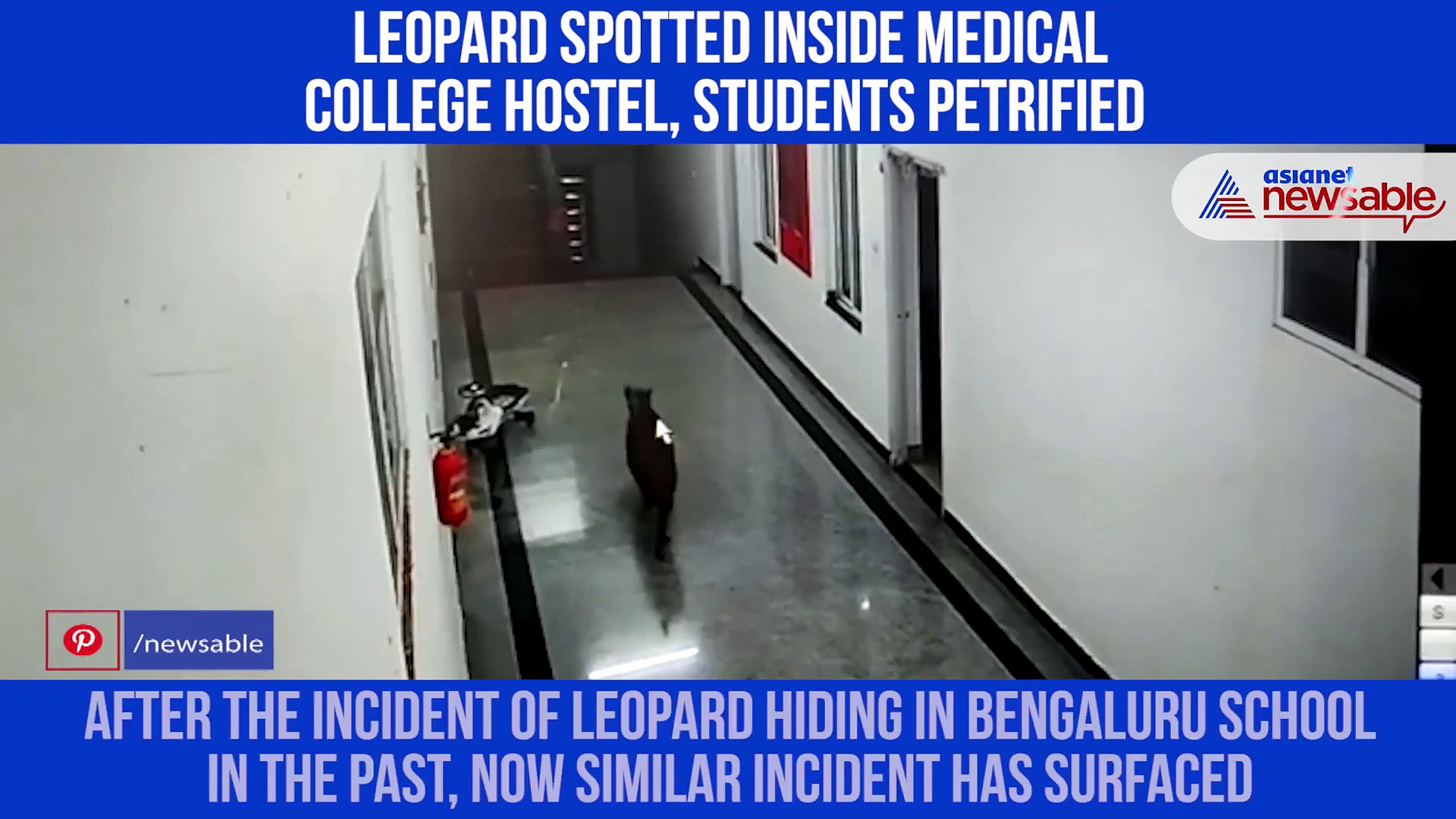 Leopard spotted inside medical college hostel, students petrified