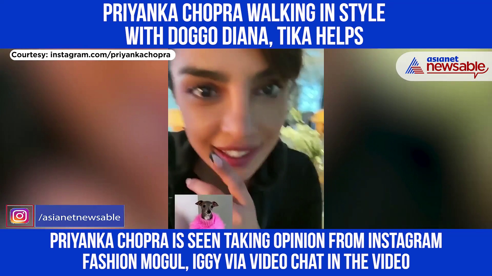Priyanka Chopra channels her inner fashion police with pet Diana; takes help from Tika, Watch video
