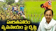 CM KCR Holds Review Meet On 5th Phase Of Palle , Patana Pragathi _ Hyderabad _ V6 News