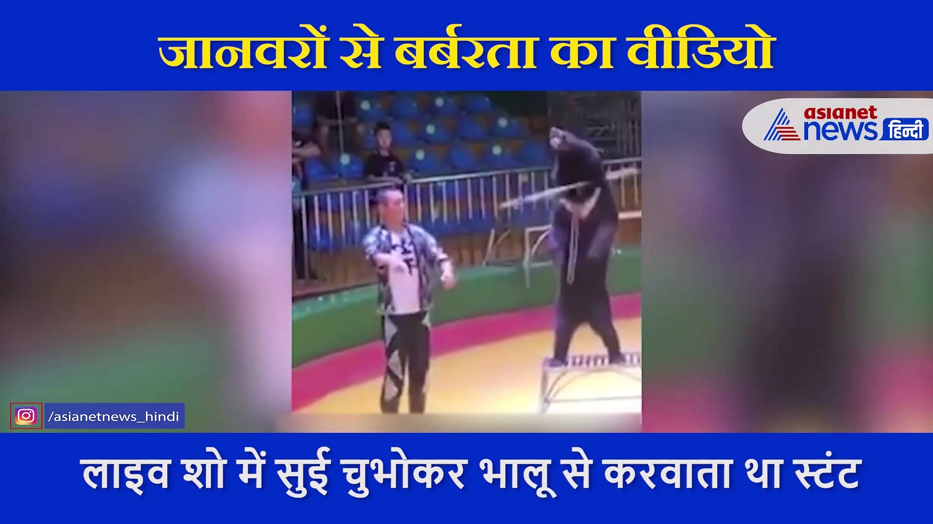 सर्कस में बेजुबान जानवरों पर सितम का LIVE वीडियो, सुई चुभोकर भालू से करवाता था स्टंट