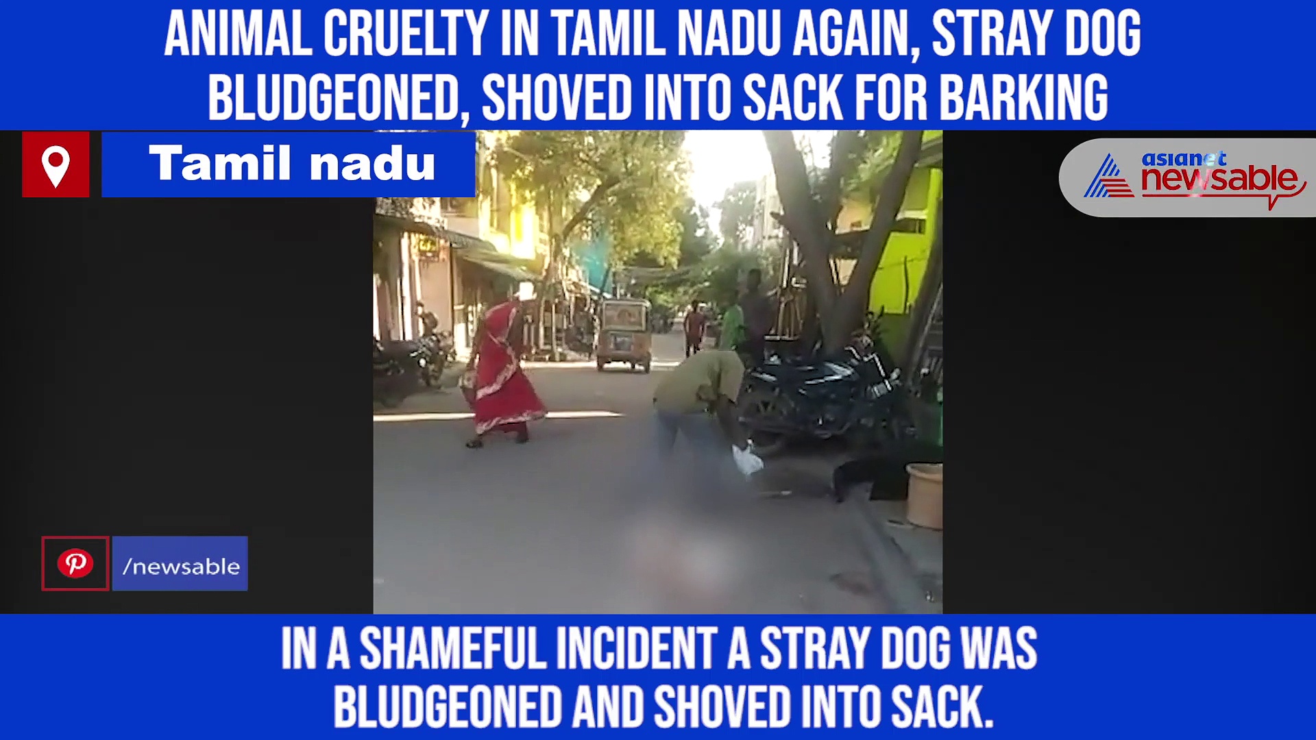 Animal cruelty in Tamil Nadu again, stray dog bludgeoned, shoved into sack for barking