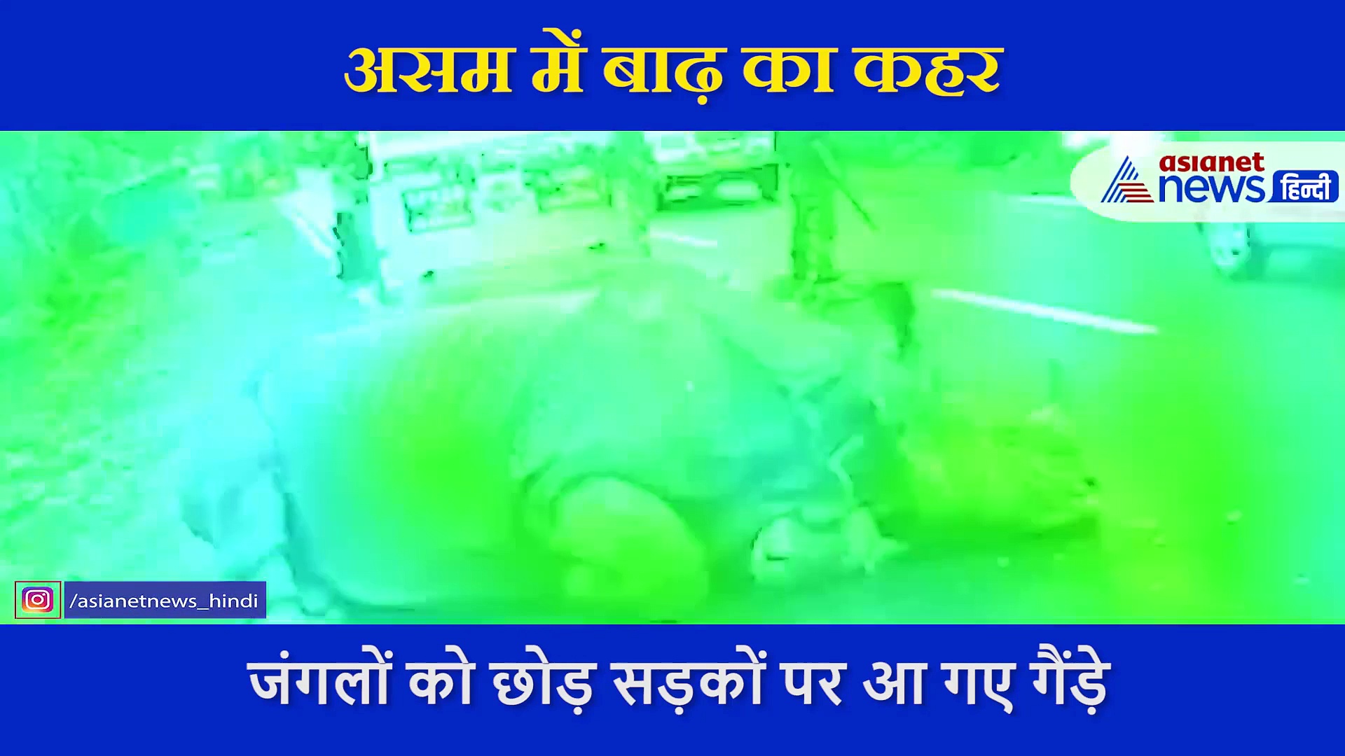 असम के दर्द को बयां कर रहा ये गैंड़ा, बाढ़ में क्या जानवर क्या इंसान सब हो गए बेबस