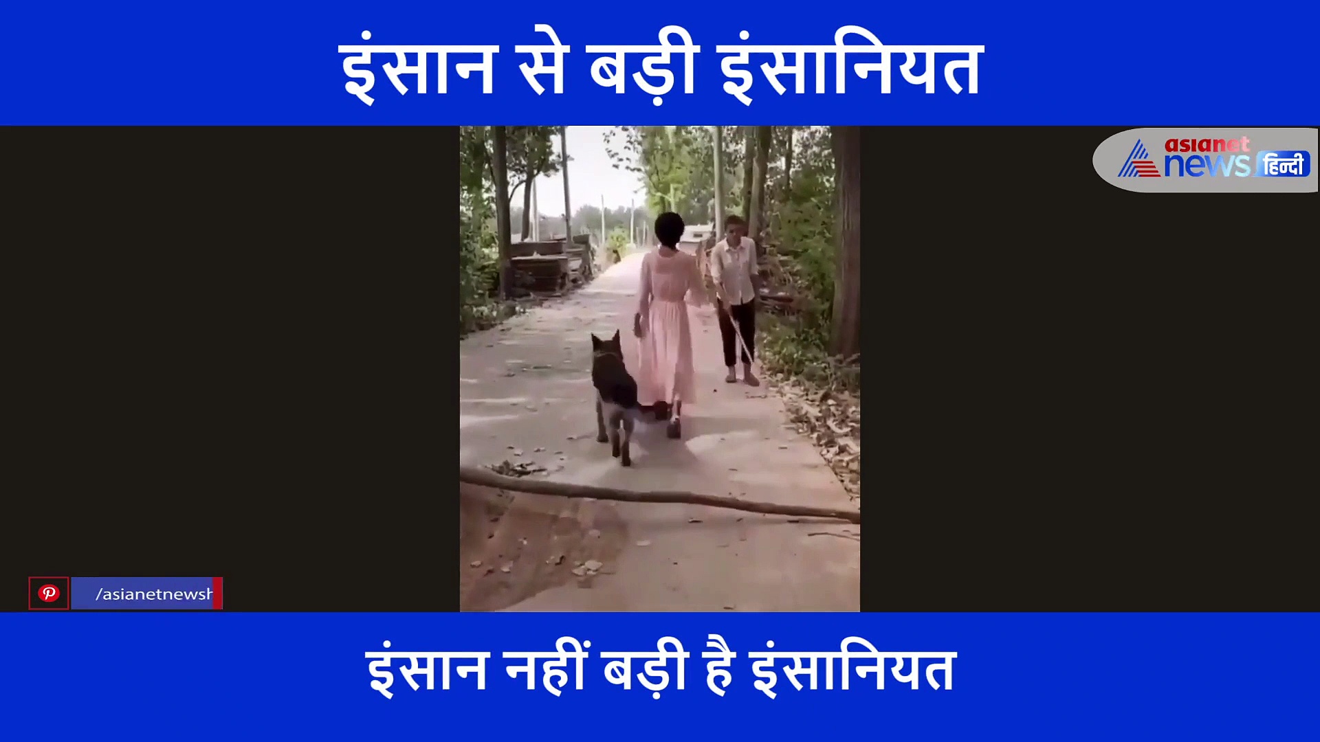 दौड़कर आया कुत्ता और बचा ली अंधे व्यक्ति जान, बुत बने खड़े रहे इंसान