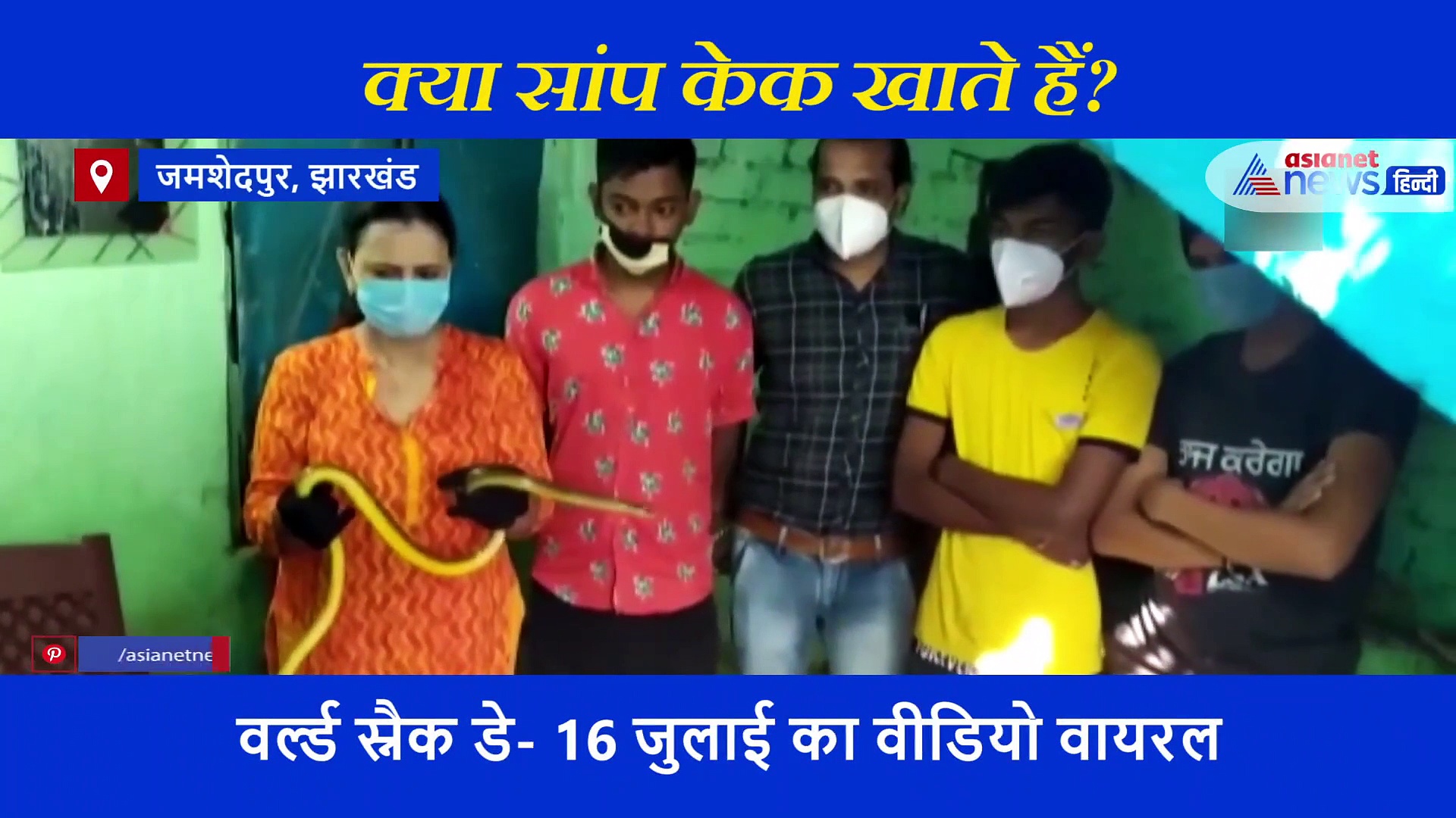 एक महिला ने की सांप को केक दिखाकर ललचाने की खतरनाक कोशिश, वीडियो देखकर लोगों के उड़े होश