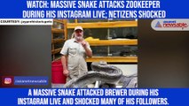 Watch: Massive snake attacks zookeeper during his Instagram live; netizens shocked