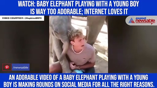 Watch: Baby elephant playing with a young boy is way too adorable; internet loves it