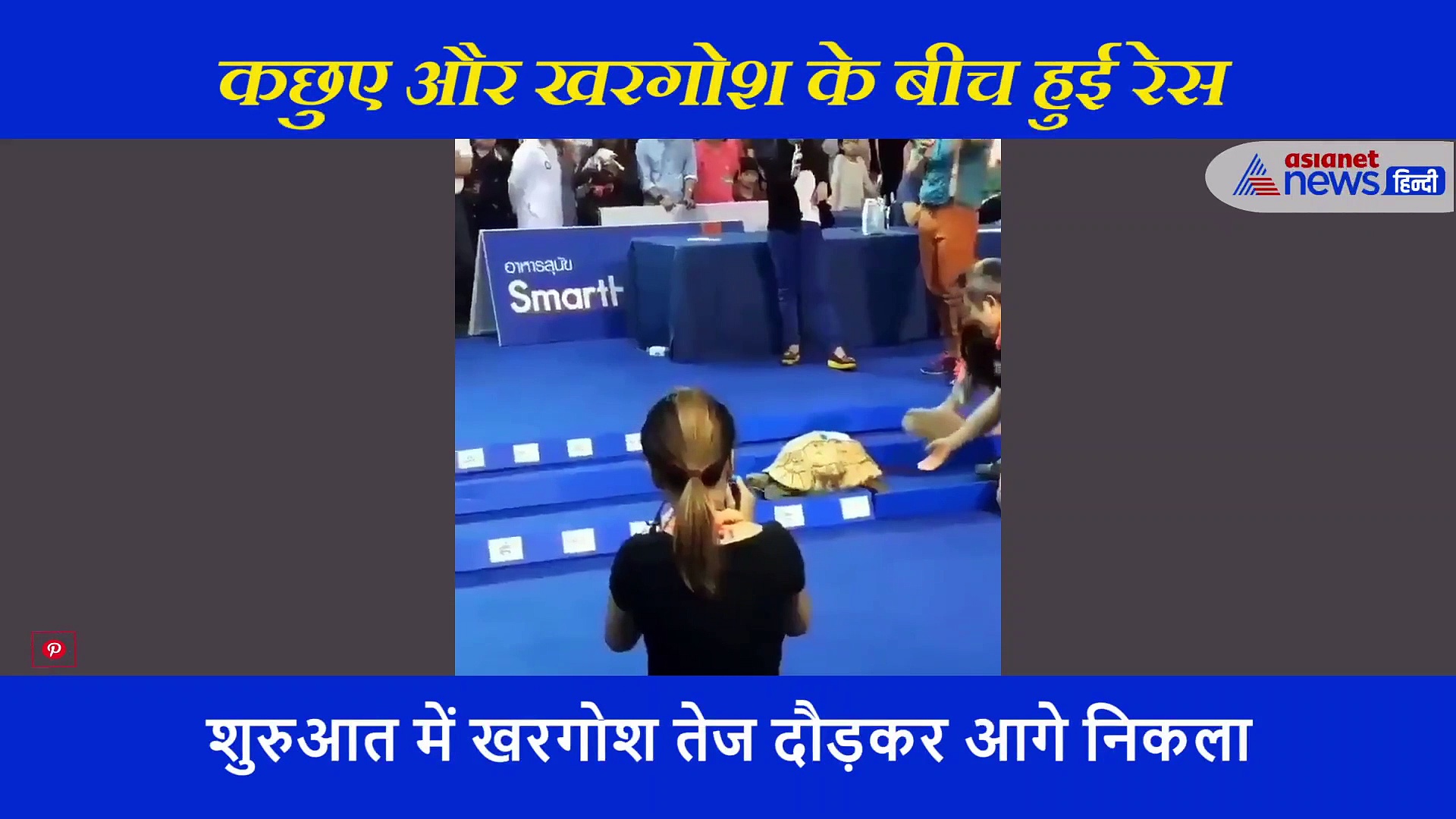 कछुए और खरगोश के बीच हुई रेस, सच साबित हुई बचपन की कहानी