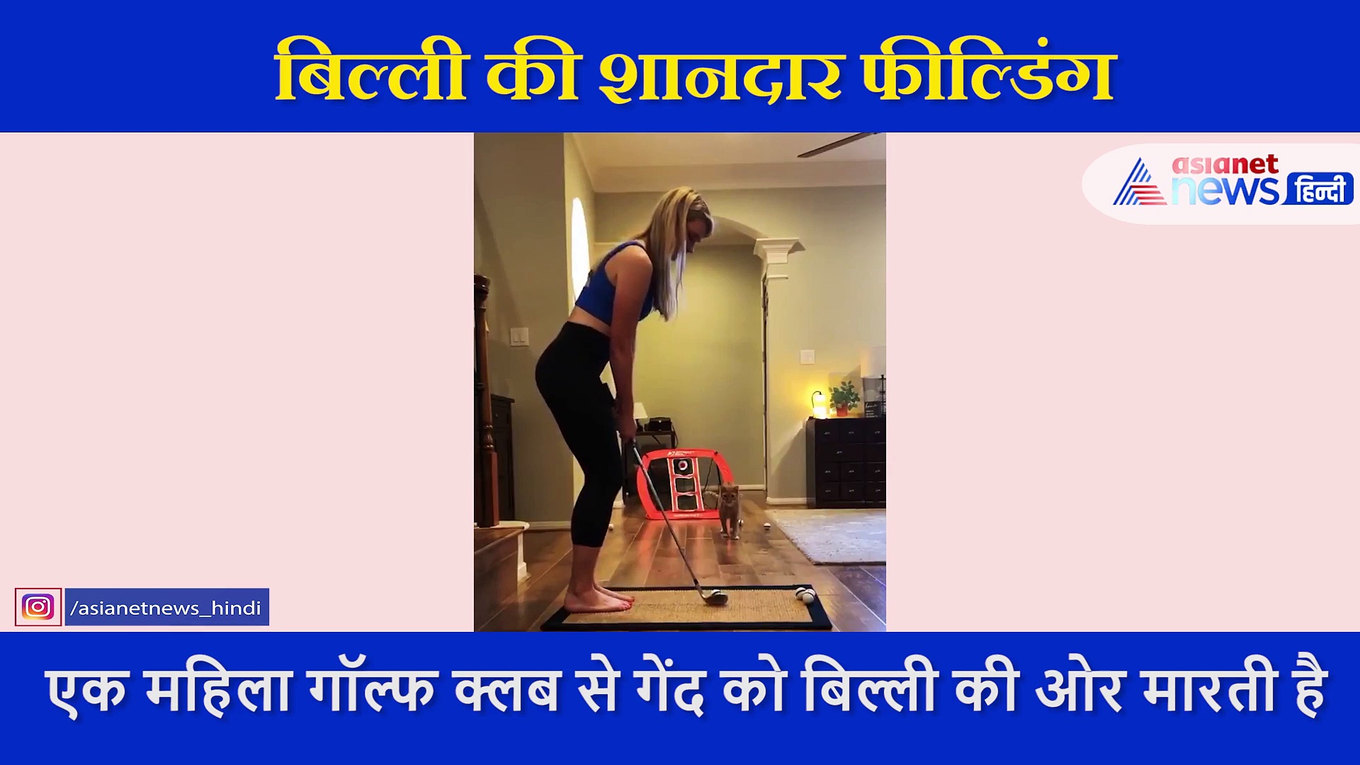 बिल्ली की शानदार फील्डिंग देखें लोग बोले  जोंटी रोड्स, पूर्व क्रिकेटर ने शेयर किया वीडियो