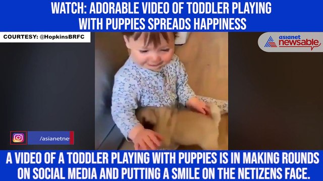 Watch: Adorable video of toddler playing with puppies spreads happiness