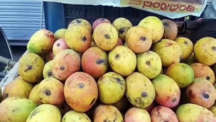 गटारातील पाण्यानं धुतले आंबे,अन् नंतर झालं असं..-