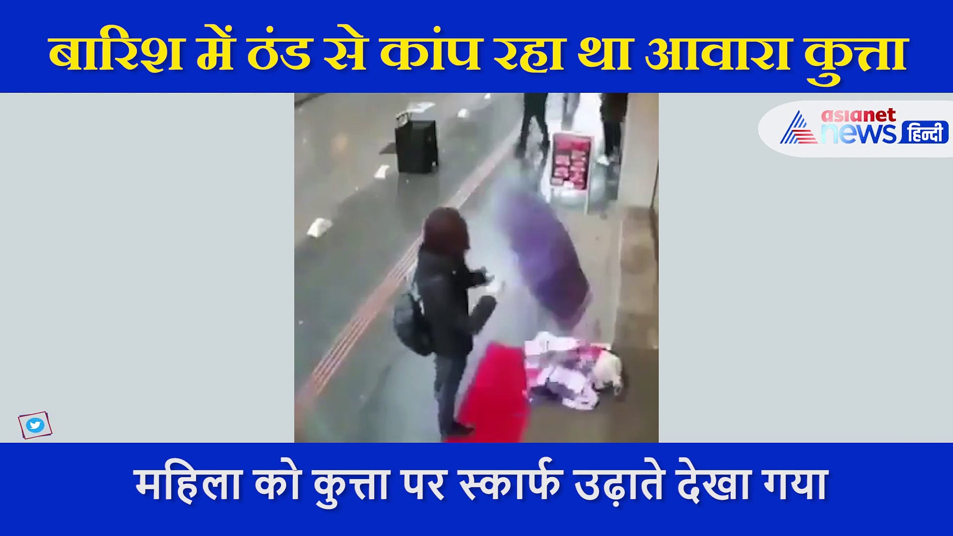 ठंड से कांप रहा था डॉग, महिला ने किया ये काम और जीत लिया लोगों का दिल