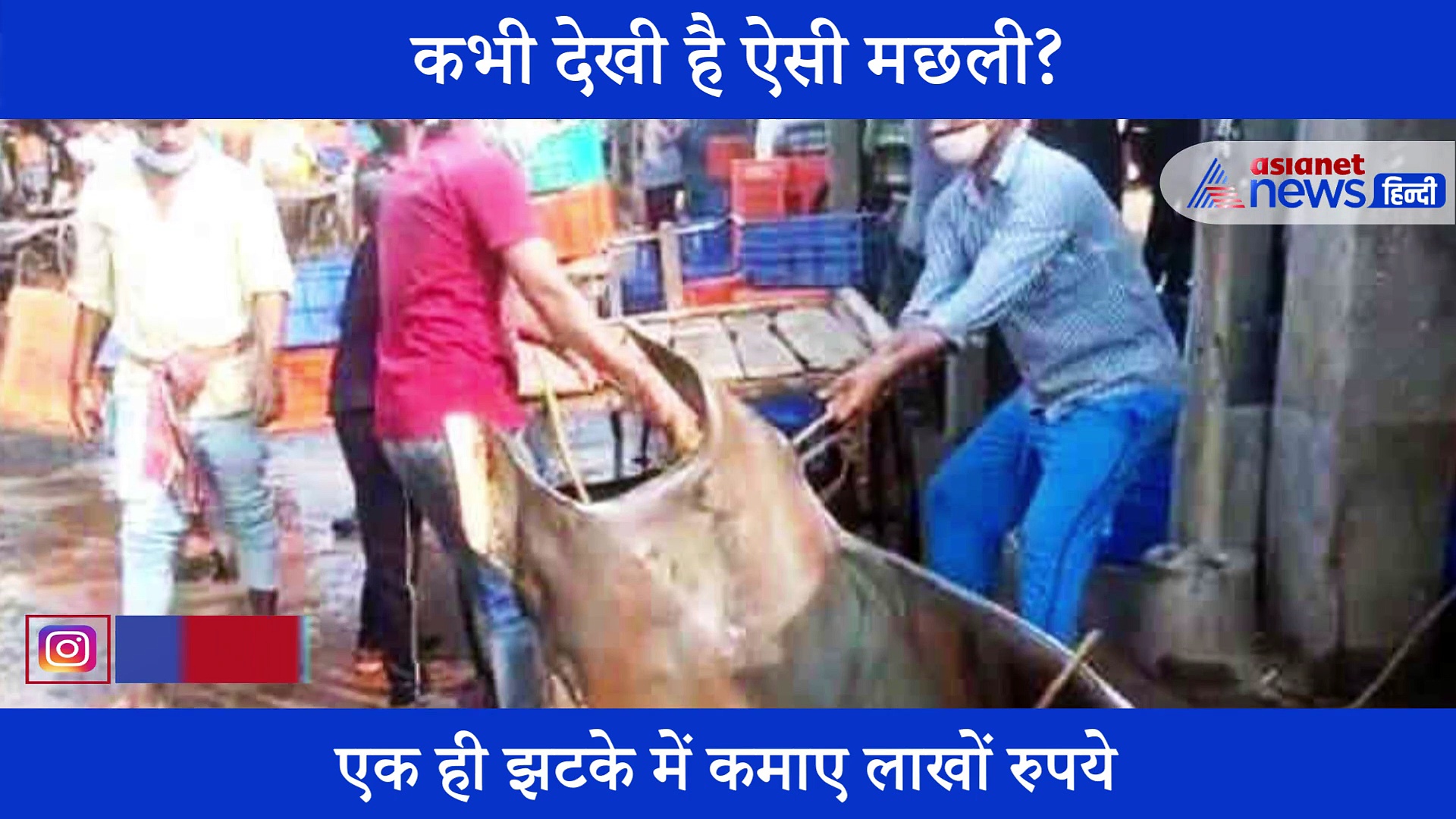 मछुआरे की खुली किस्मत, 16 लाख में बिकी एक मछली