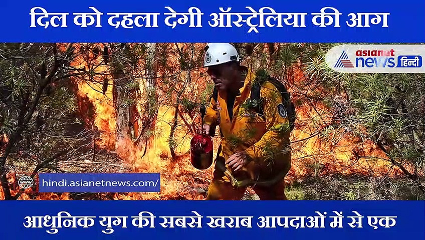 ऑस्ट्रेलिया के जंगलों की आग ने इतने अरब जानवरों को किया प्रभावित