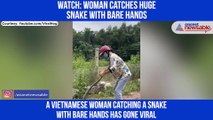 Woman Catches Huge Snake With Bare Hands