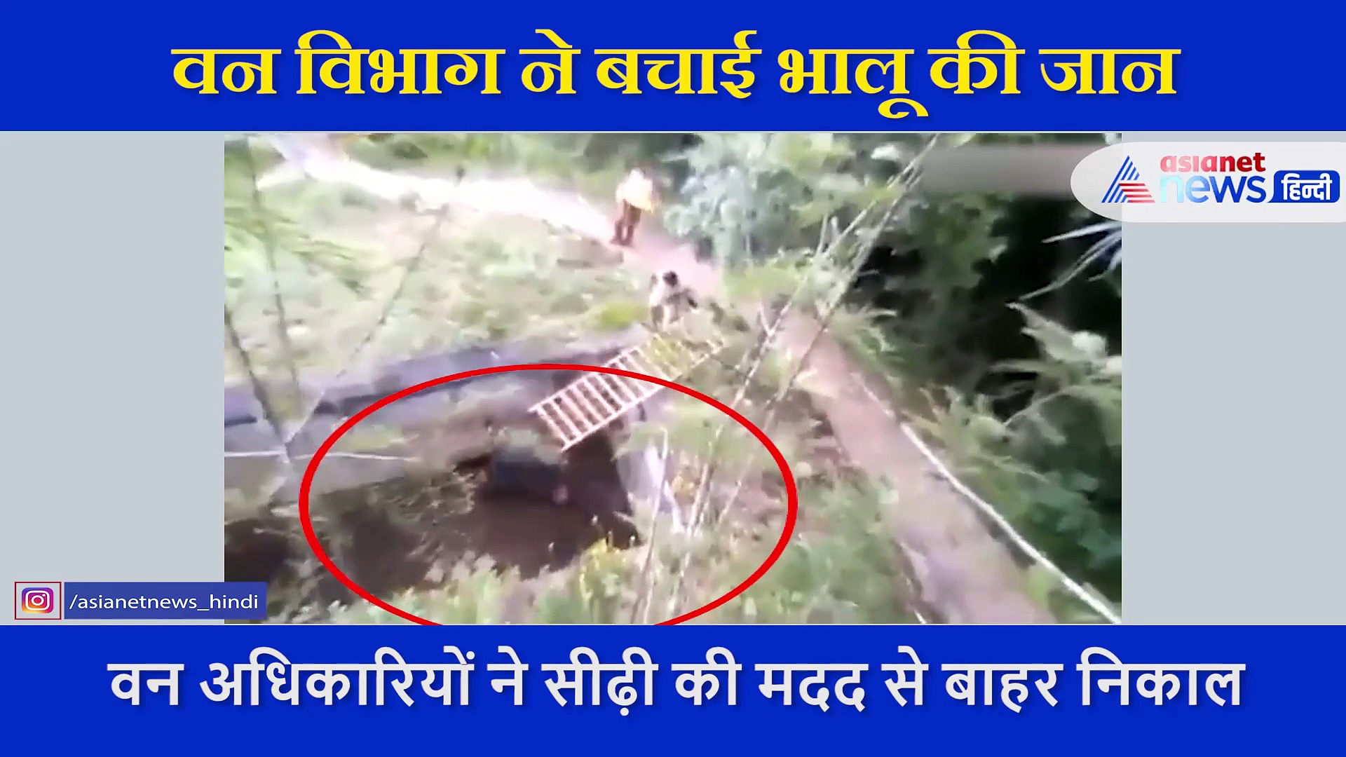 अपनी जान जोखिम में डाल भालू को बचाया, वन विभाग के कर्मचारियों की हो रही तारीफ