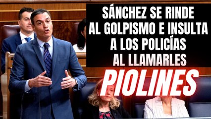 Pedro Sánchez se rinde al golpismo: llama ‘piolines’ a los policías enviados a Cataluña por el 1-O