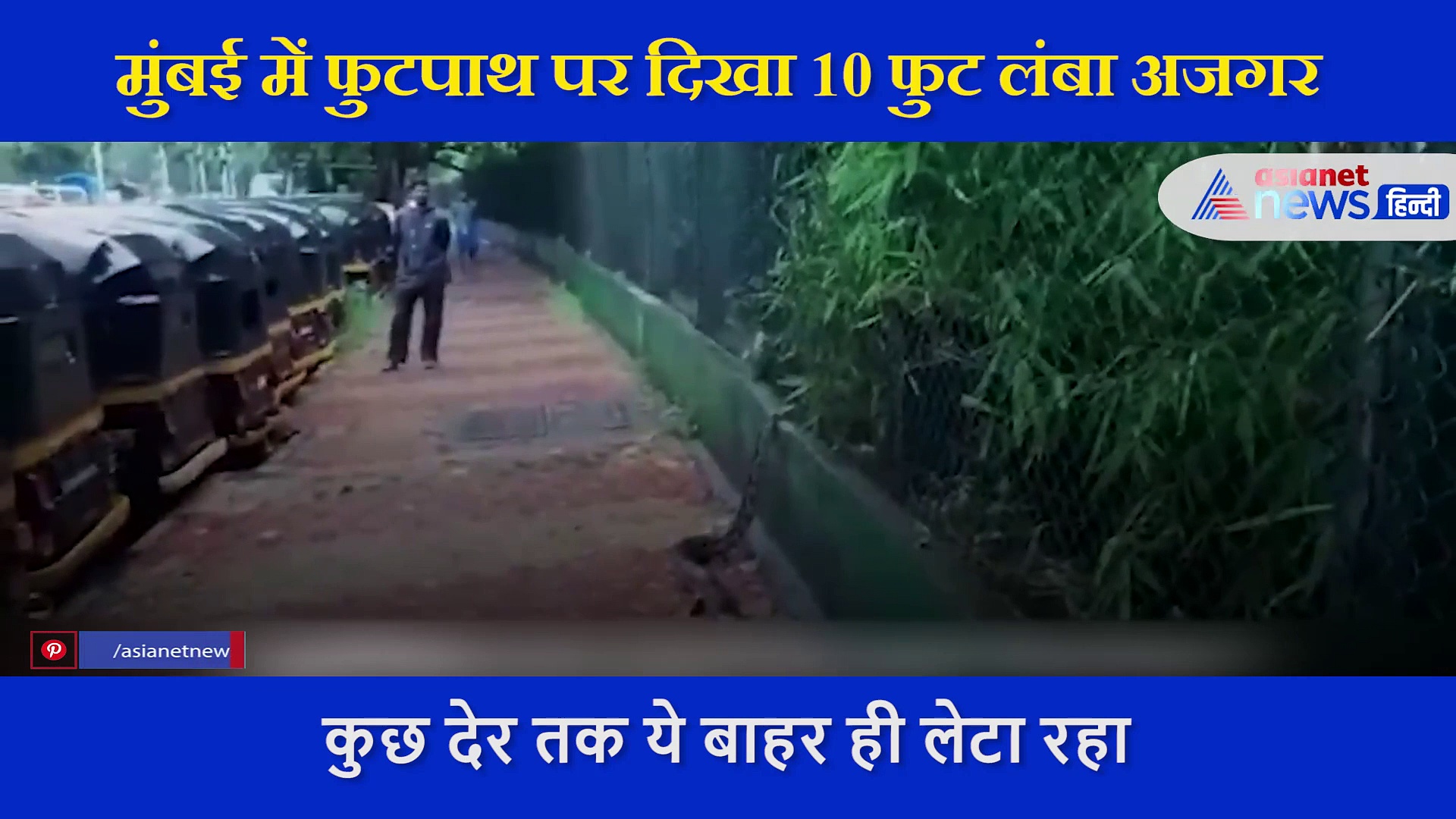 मुंबई में घूमता दिखा 10 फीट का अजगर