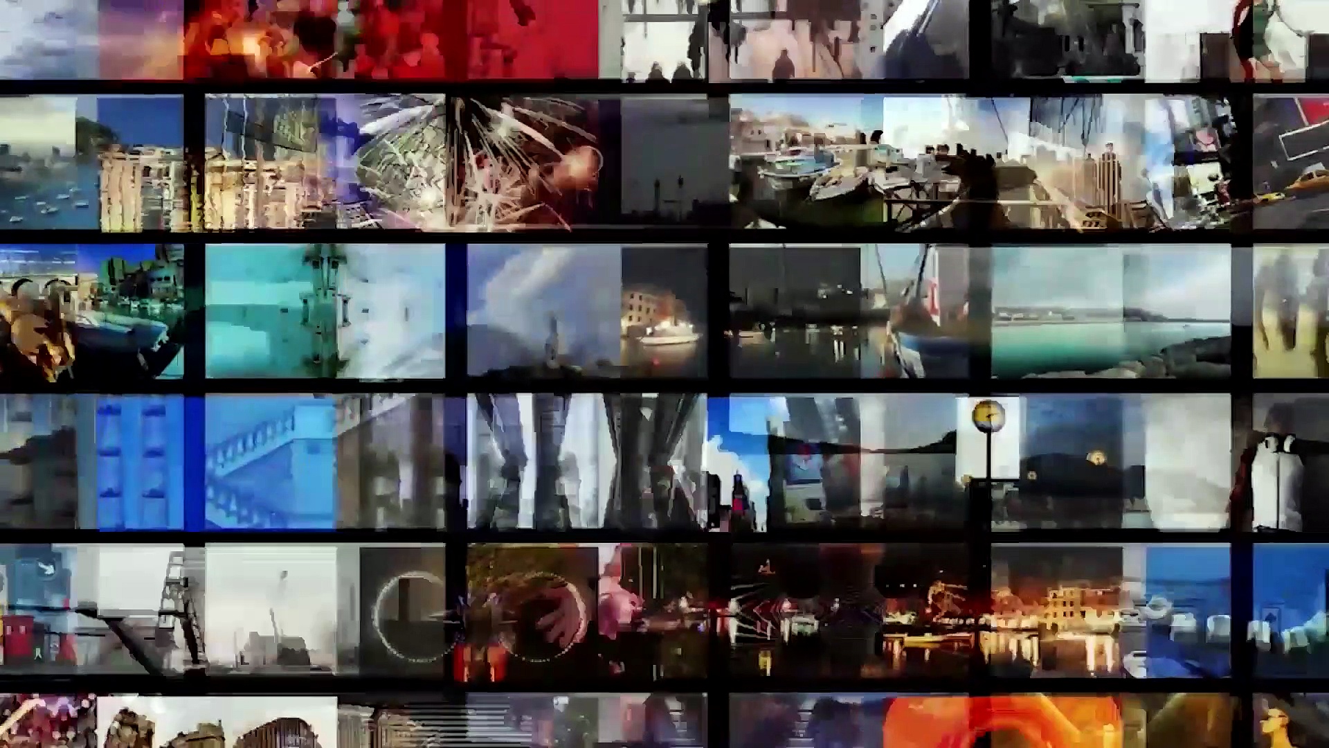 Penguin jumps Into tourist boat for a joyride