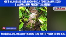 NCB's major drug bust: Whooping 3.4 tonnes ganja seized, 3 Maharashtra residents arrested