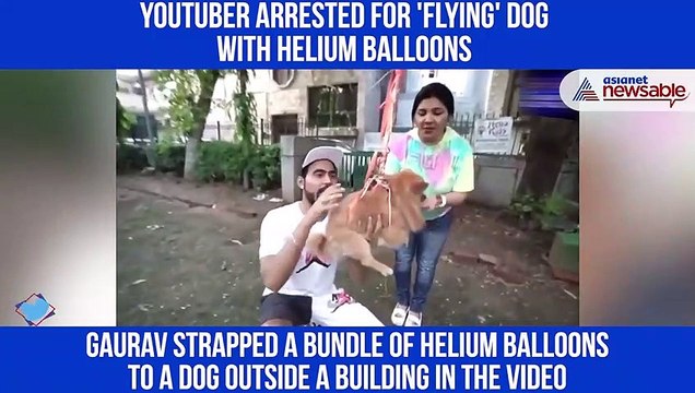 YouTuber arrested for 'flying' dog with helium balloons