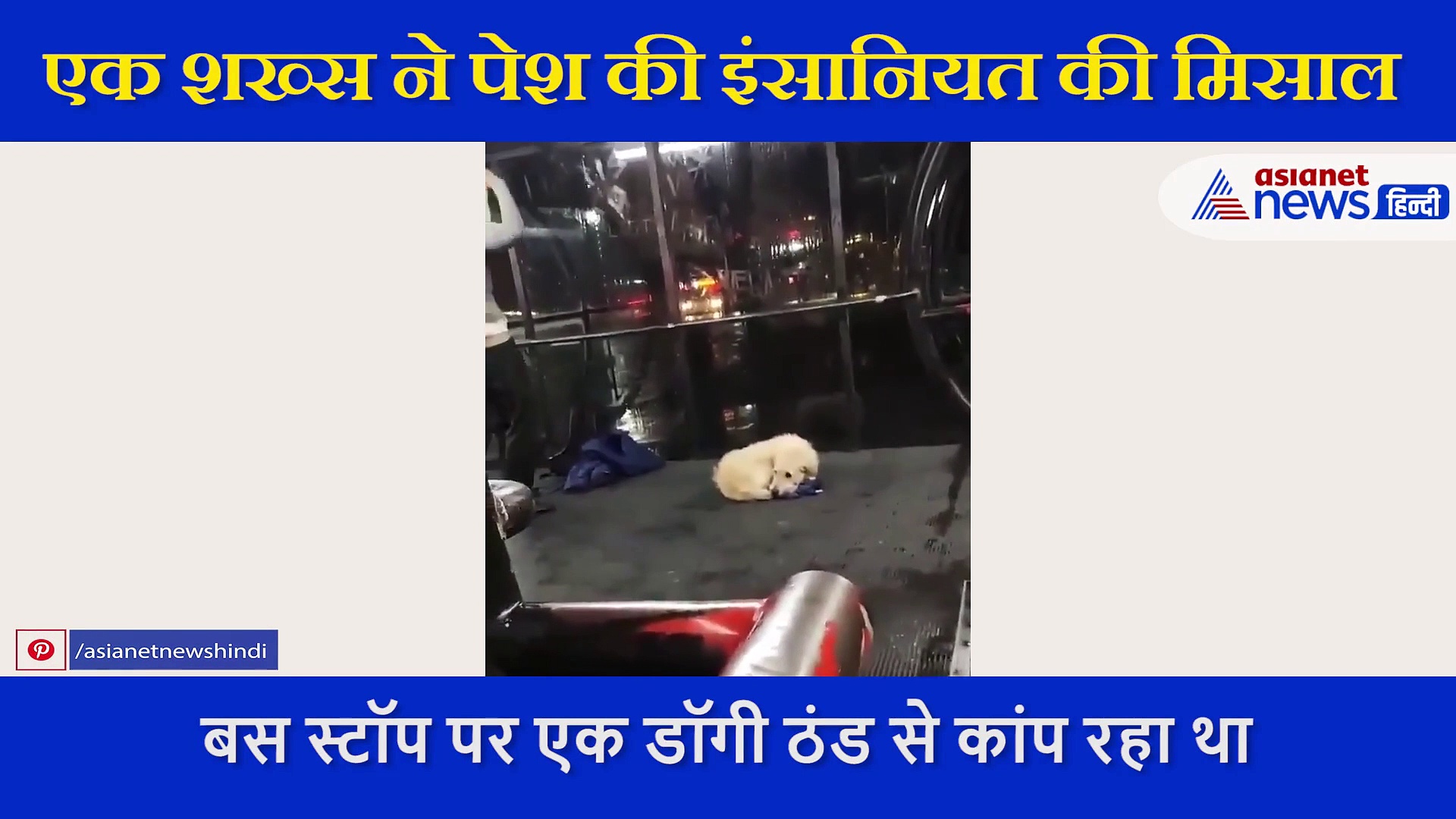 ठंड में कांप रहा था डॉगी, शख्स ने किया कुछ ऐसा कि लोग रहे तारीफ