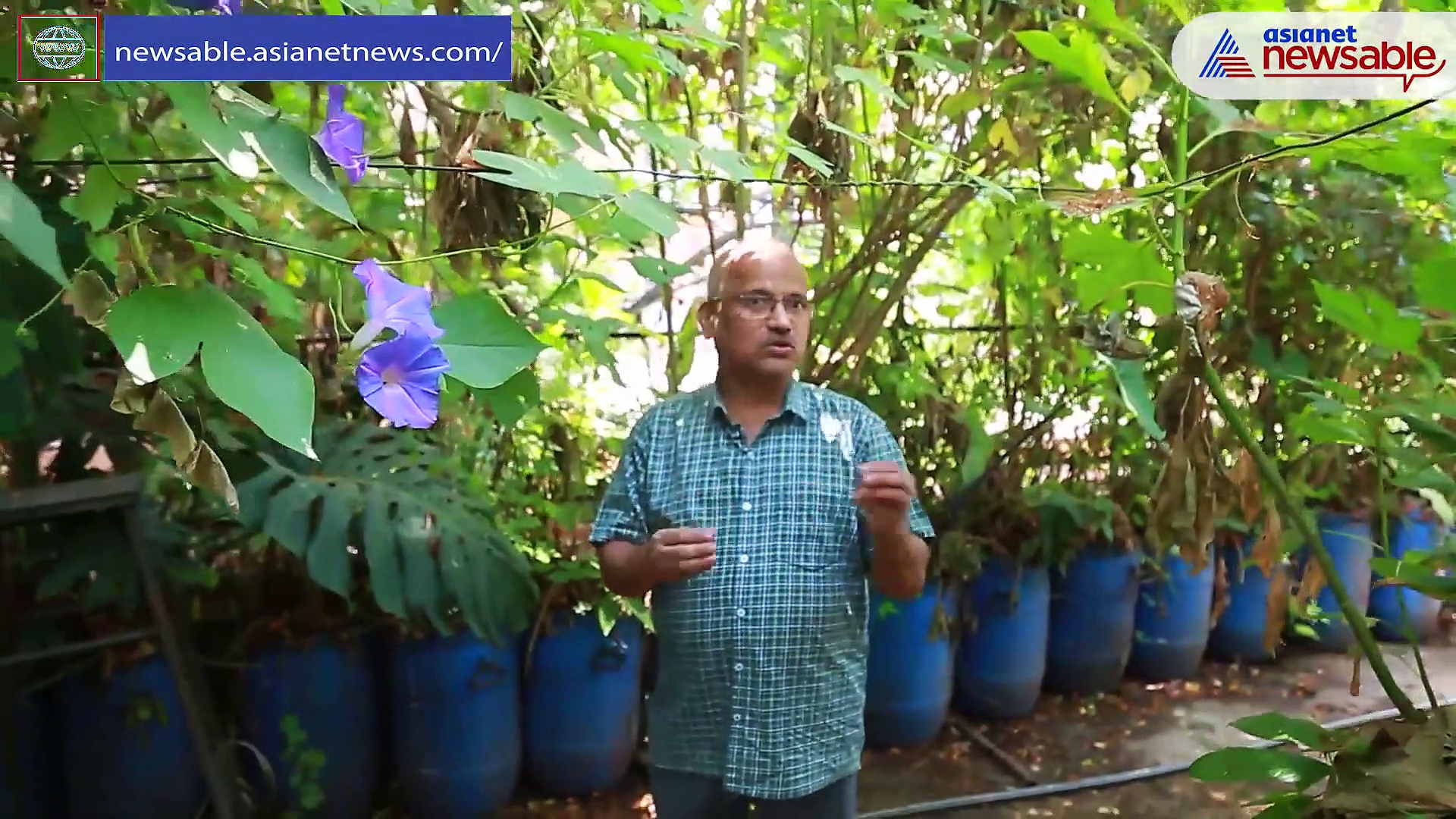 The man who grew a mini forest on his terrace in Bengaluru