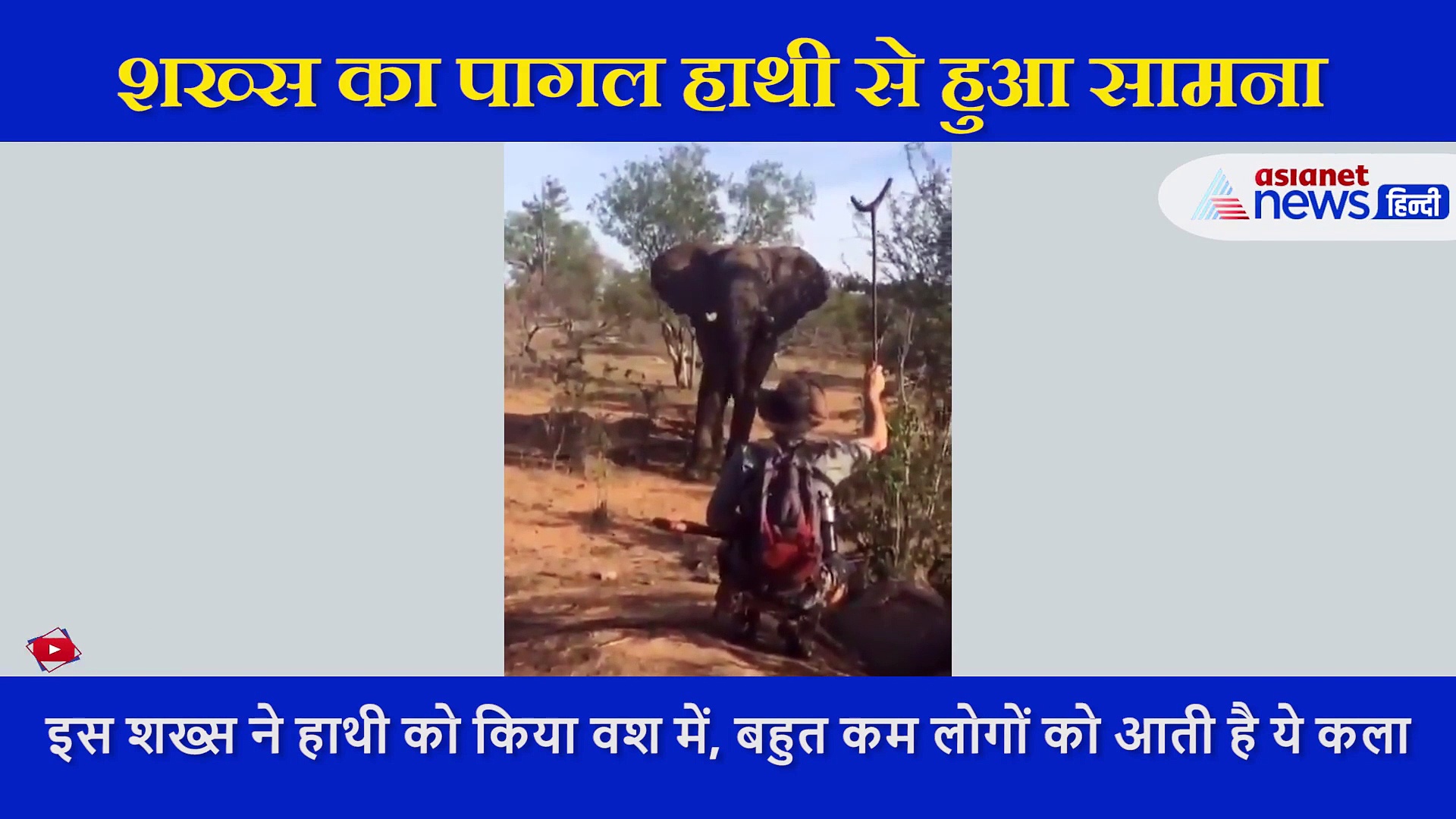 गुस्से से  शख्स पर अटैक करने आया पागल हाथी, देखें किस तरीके से बचाई अपनी जान