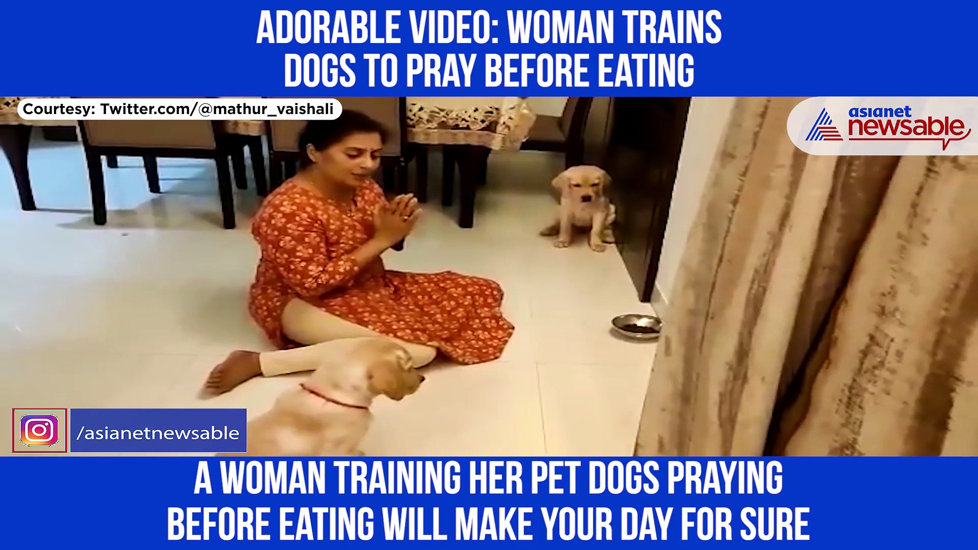 Mother of two dogs teaches her furry babies to pray before eating (Viral Video)