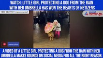 Watch: Little girl protecting a dog from the rain with her umbrella has won the hearts of netizens