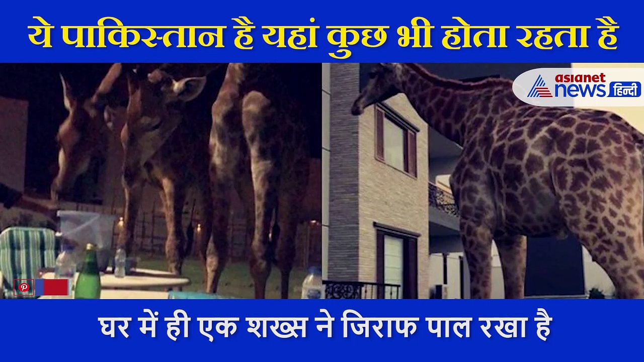 पाकिस्तान में एक शख्स ने घर में पाल रखा है  ये खतरनाक जंगली जानवर