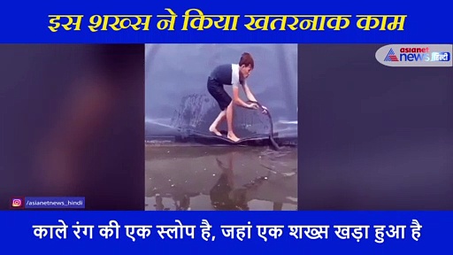 पानी में तैर रहे सांप को पकड़ रहा था शख्स, पीछे से आ गया अजगर, शॉकिंग वीडियो आया सामने