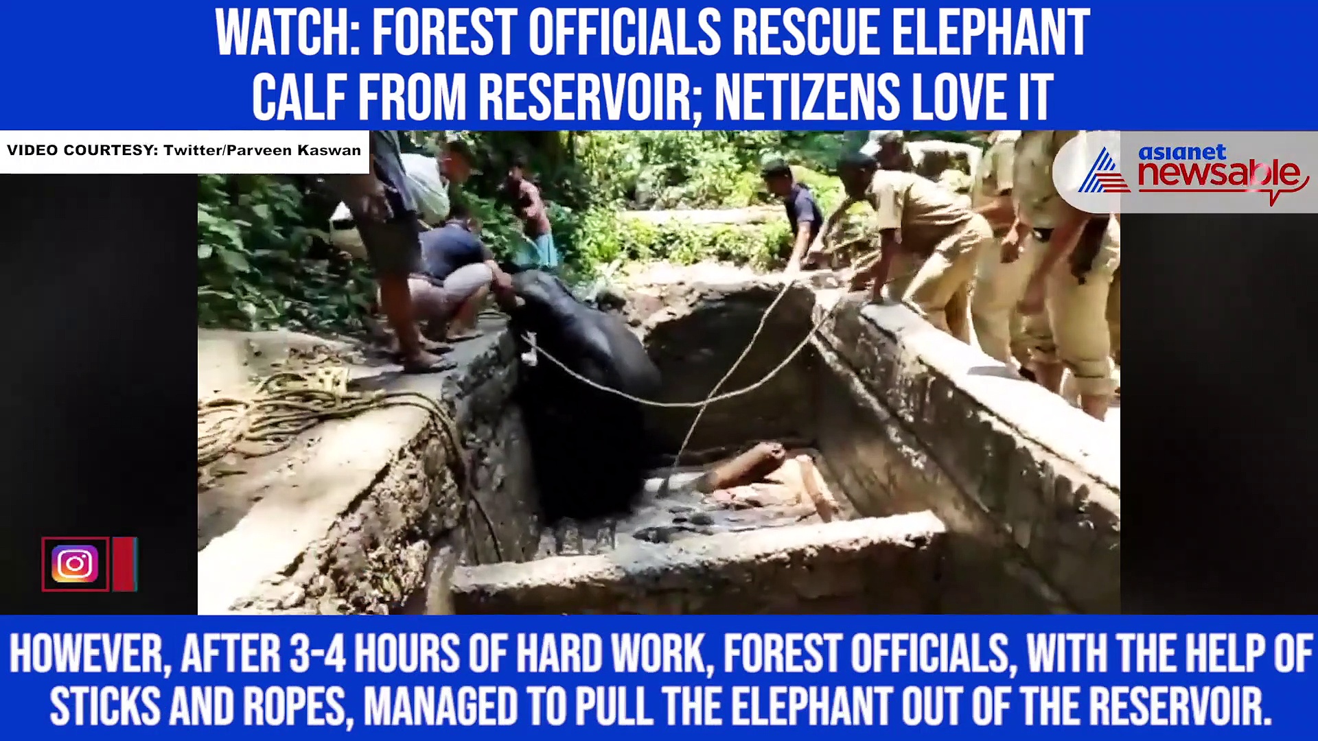 Watch: Forest officials rescue elephant calf from reservoir; netizens love it