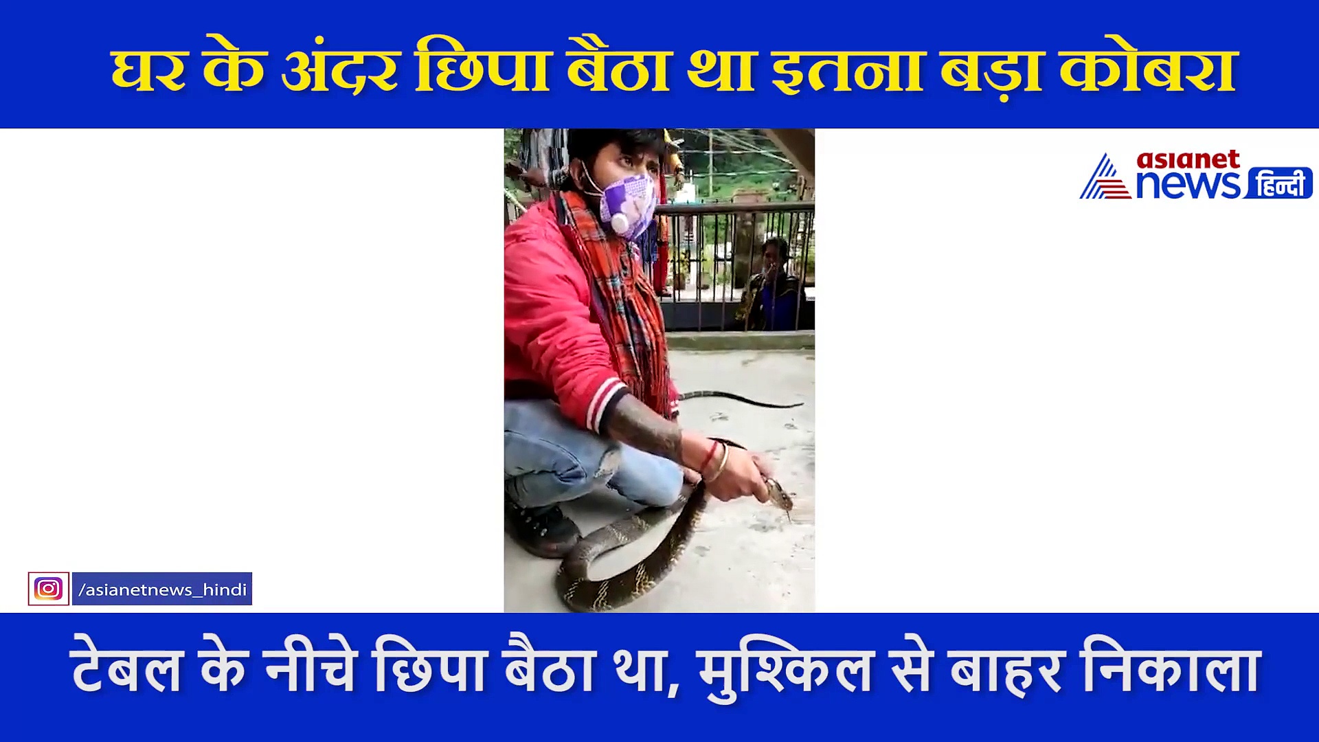 घर के अंदर छिपा बैठा था खतरनाक जानवर, जिसके डसते ही हो जाती है मौत