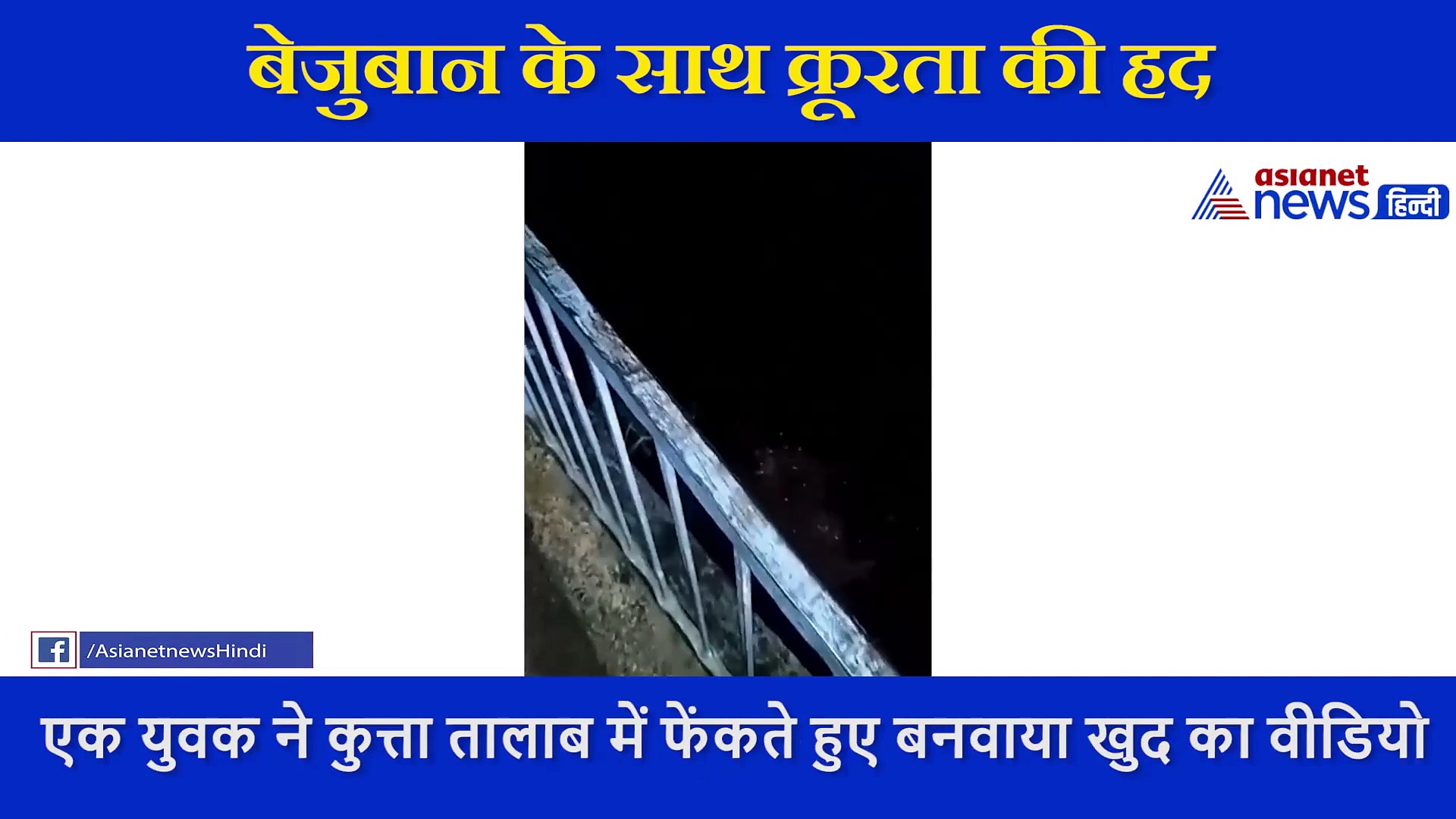 मजे के लिए युवक ने जिंदा कुत्ते को तालाब में फेंका, खौफनाक वीडियो आया सामने