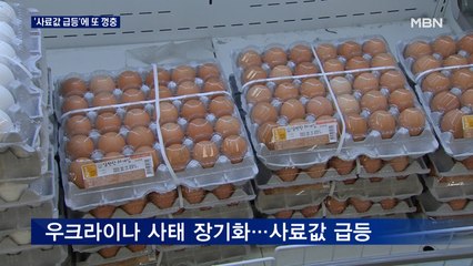 사료값 급등 치솟는 달걀 값…일반 계란 한판 7천 원