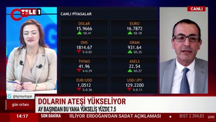 Evren Devrim Zelyut'tan 'dolar' için korkutan senaryo: '12 ay sonra 24 TL'yi bulur'