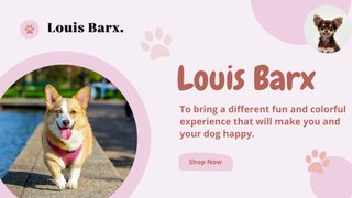 Premium Dog and Puppy Supplies in the US - Louis Barx