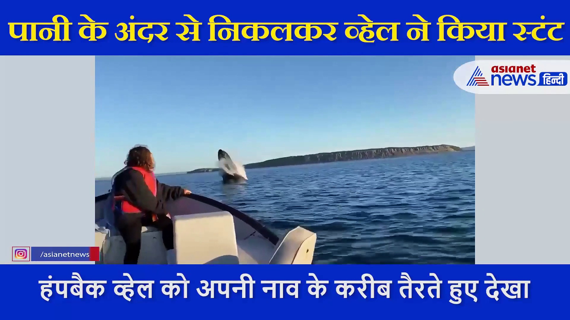 पानी के अंदर से निकलकर व्हेल ने हवा में किया गजब का स्टंट, देख कर दंग रह गई लड़की
