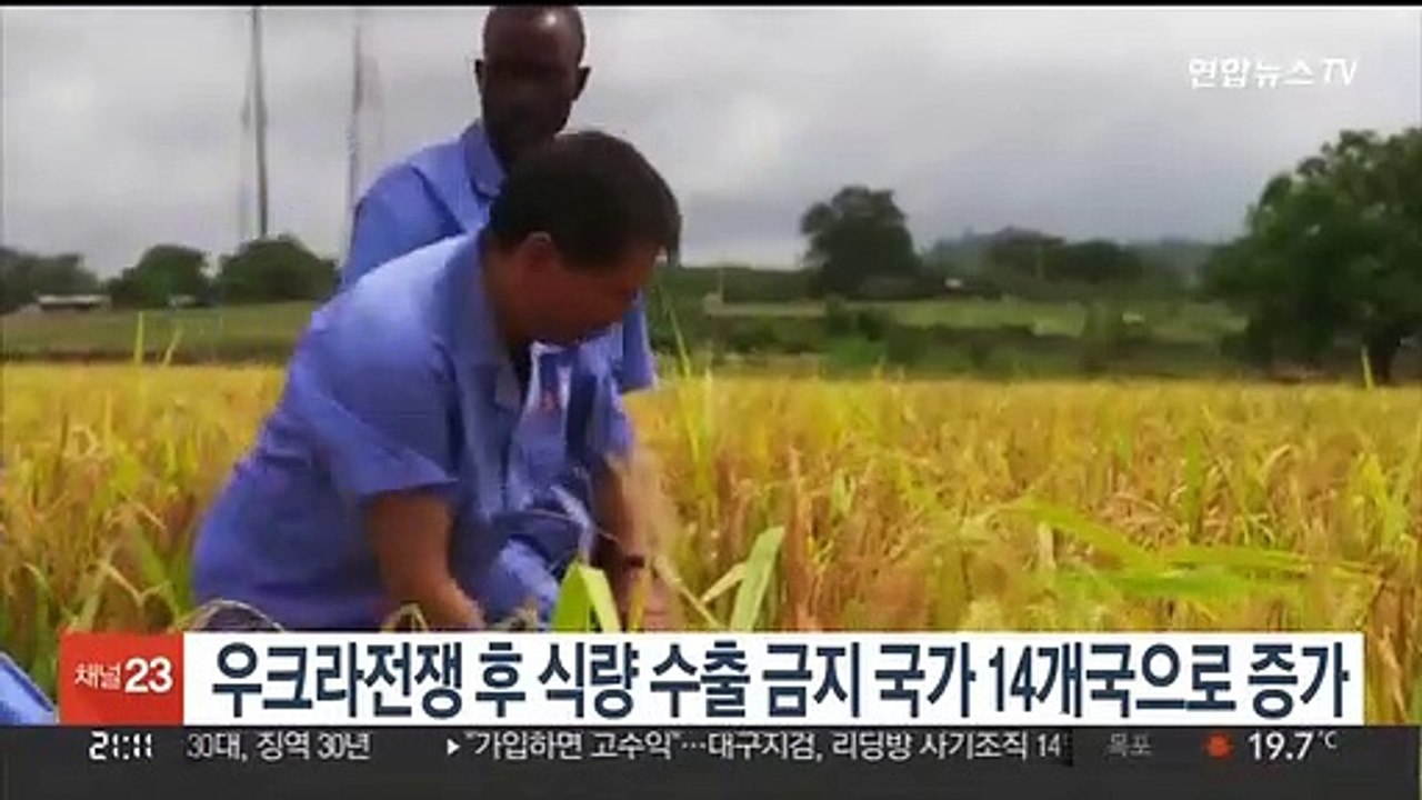 우크라 전쟁 이후 식량 수출 금지 국가 14개국으로 늘어