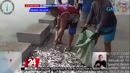 Mga palaisdaan sa Obando, Bulacan, tinamaan ng fish kill; mga mangingisda, umaaray| 24 Oras