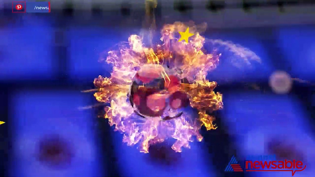 ISL 2021-22, Match Highlights (Game 5): Chennaiyin FC beats Hyderabad FC 1-0 (WATCH)