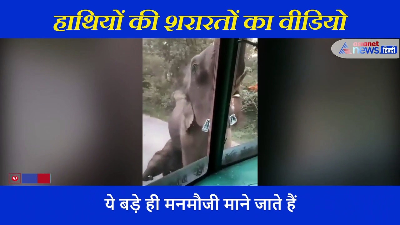 हाथी के परिवार ने  रोका गन्ने का ट्रक, उड़ाने लगे दावत, लोग बोले टैक्स वसूला